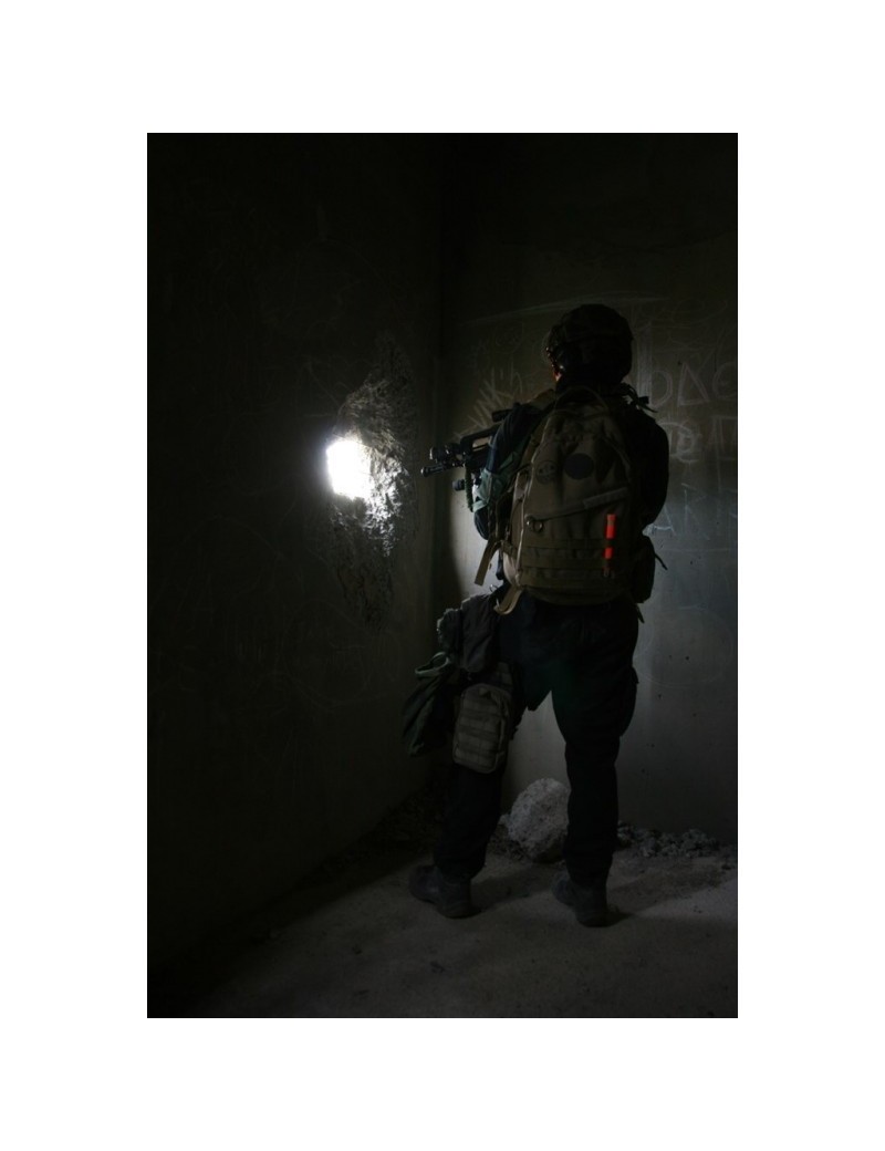 Boîte De 10 Bâtons Lumineux Rouges LC Industries ChemLight 6 Pouces - Qualité Militaire